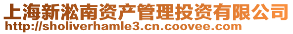 上海新淞南資產管理投資有限公司