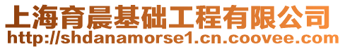 上海育晨基礎(chǔ)工程有限公司