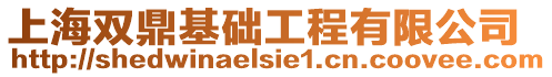 上海雙鼎基礎工程有限公司