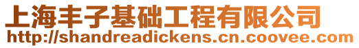 上海豐子基礎工程有限公司