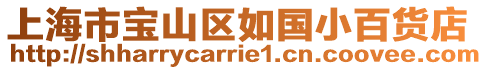 上海市寶山區如國小百貨店