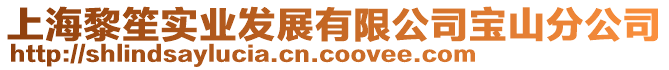 上海黎笙實(shí)業(yè)發(fā)展有限公司寶山分公司