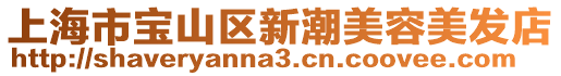 上海市寶山區新潮美容美發店