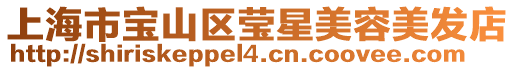 上海市寶山區(qū)瑩星美容美發(fā)店