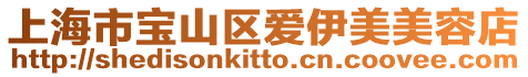 上海市寶山區愛伊美美容店