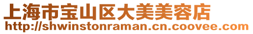 上海市寶山區大美美容店