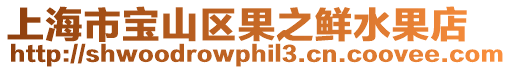 上海市寶山區果之鮮水果店