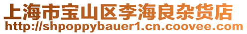 上海市寶山區(qū)李海良雜貨店