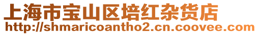 上海市寶山區培紅雜貨店