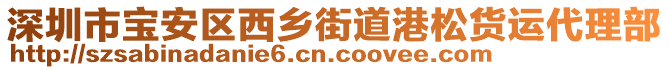 深圳市寶安區西鄉街道港松貨運代理部