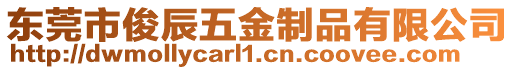 東莞市俊辰五金制品有限公司