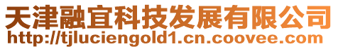 天津融宜科技發展有限公司