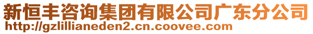 新恒豐咨詢集團有限公司廣東分公司