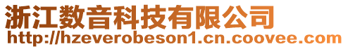 浙江數(shù)音科技有限公司