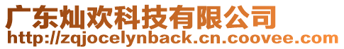 廣東燦歡科技有限公司