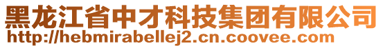 黑龙江省中才科技集团有限公司