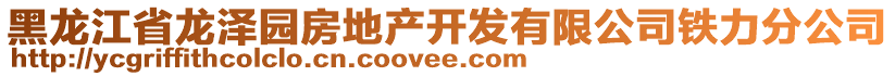 黑龍江省龍澤園房地產(chǎn)開發(fā)有限公司鐵力分公司