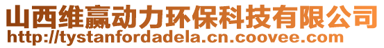 山西維贏動力環(huán)保科技有限公司