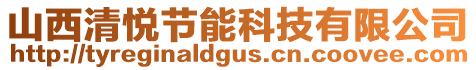 山西清悅節能科技有限公司