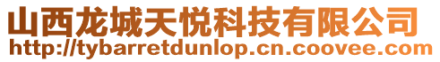 山西龍城天悅科技有限公司