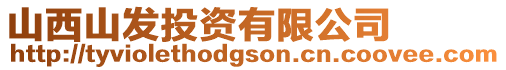 山西山發投資有限公司