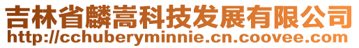 吉林省麟嵩科技發(fā)展有限公司
