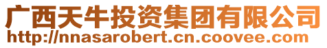 廣西天牛投資集團有限公司