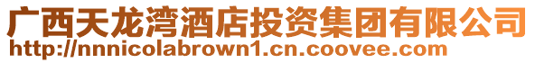 廣西天龍灣酒店投資集團有限公司