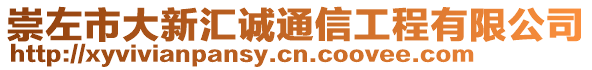 崇左市大新匯誠通信工程有限公司