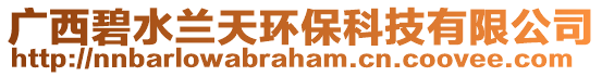 廣西碧水蘭天環保科技有限公司