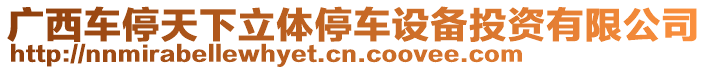 廣西車停天下立體停車設備投資有限公司