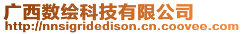 廣西數繪科技有限公司