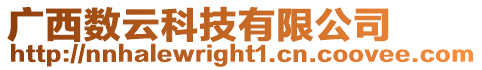 廣西數云科技有限公司