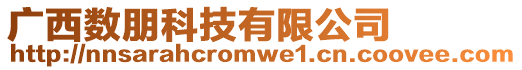 廣西數朋科技有限公司