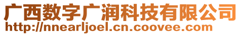 廣西數(shù)字廣潤(rùn)科技有限公司