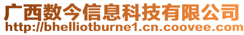 廣西數(shù)今信息科技有限公司