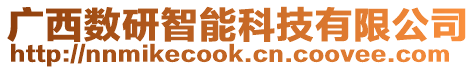 廣西數(shù)研智能科技有限公司