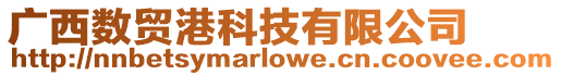 廣西數貿港科技有限公司