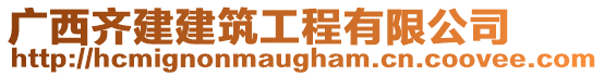廣西齊建建筑工程有限公司