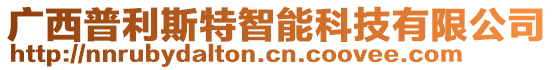 廣西普利斯特智能科技有限公司