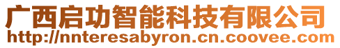 廣西啟功智能科技有限公司
