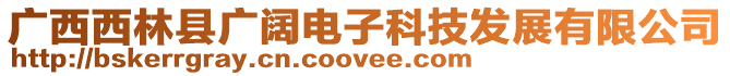廣西西林縣廣闊電子科技發展有限公司