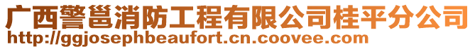 廣西警邕消防工程有限公司桂平分公司