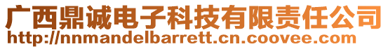 廣西鼎誠電子科技有限責任公司
