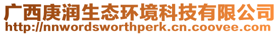 廣西庚潤生態環境科技有限公司