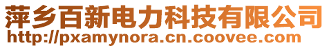 萍鄉(xiāng)百新電力科技有限公司