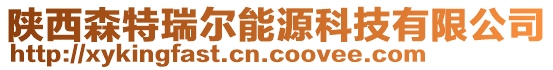 陜西森特瑞爾能源科技有限公司