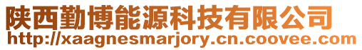 陜西勤博能源科技有限公司