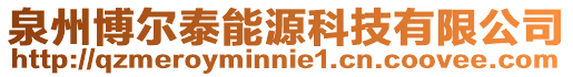 泉州博爾泰能源科技有限公司