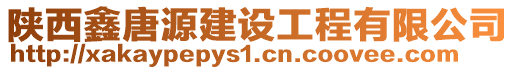 陜西鑫唐源建設工程有限公司